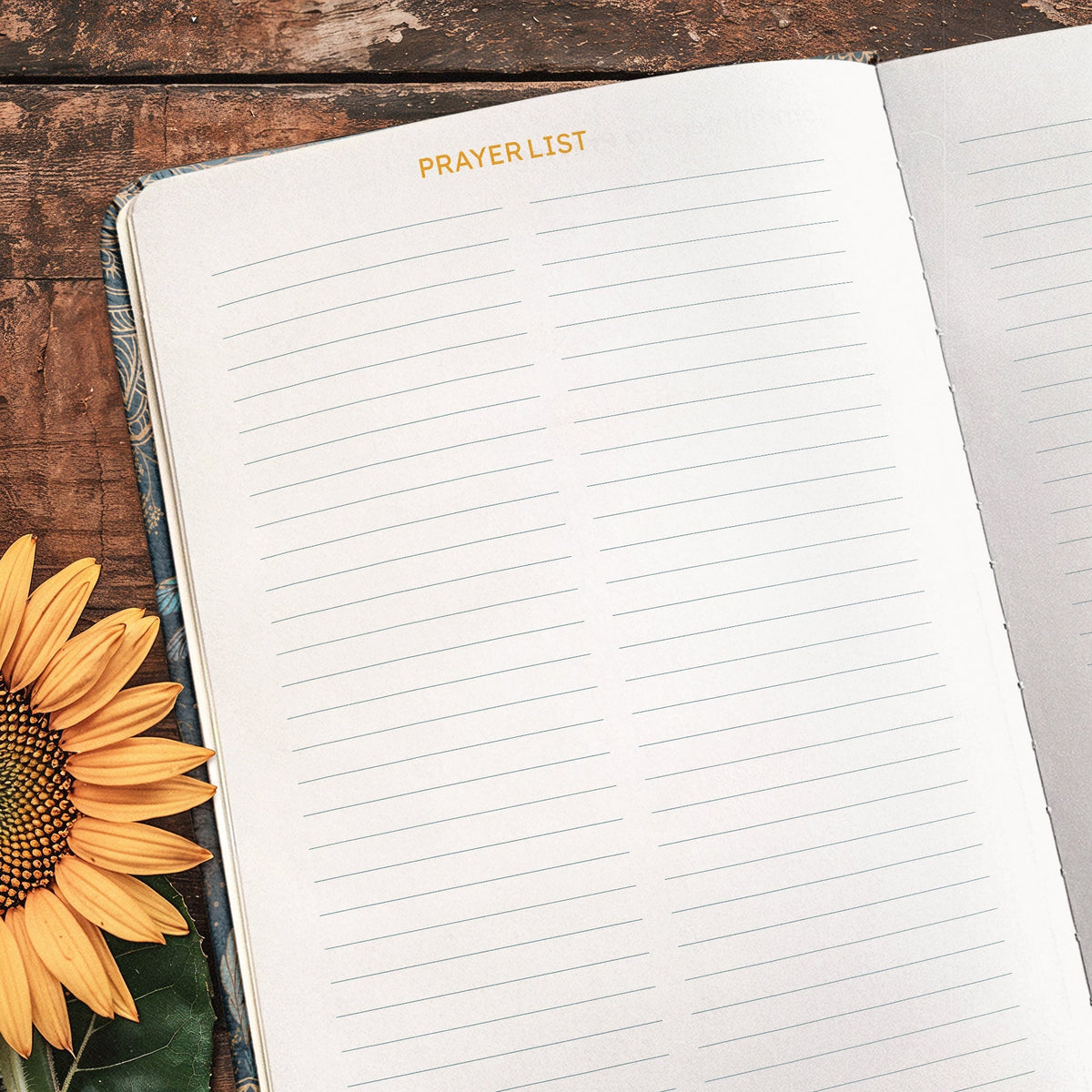 Devoted Psalm 46:10 Bible Study Journal