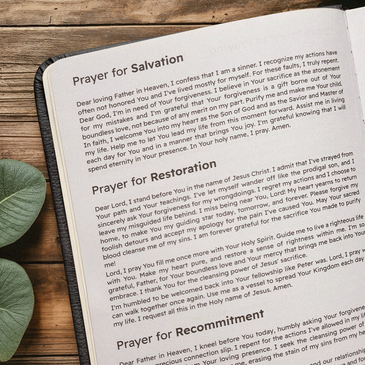 Pathway Proverbs 3:6 Leather Prayer Journal
