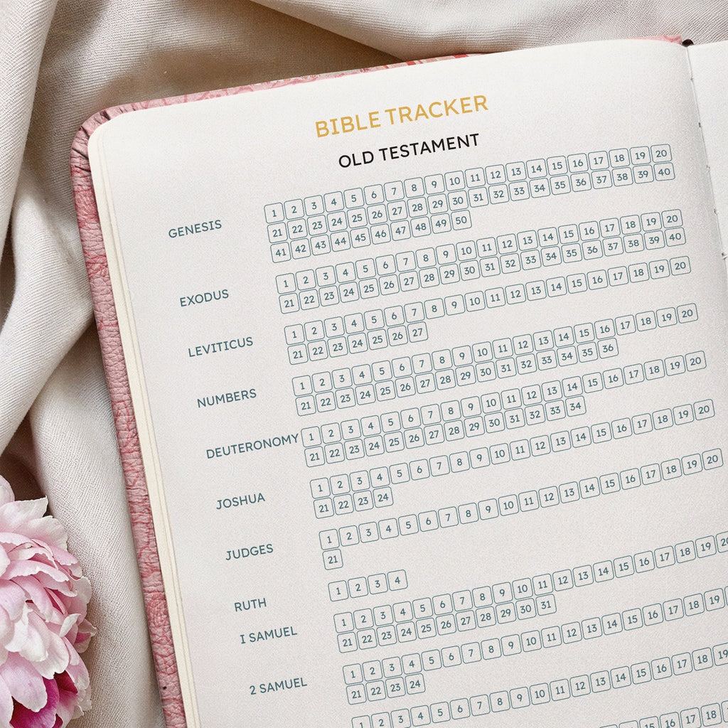 Assured Proverbs 3:5 Bible Study Journal