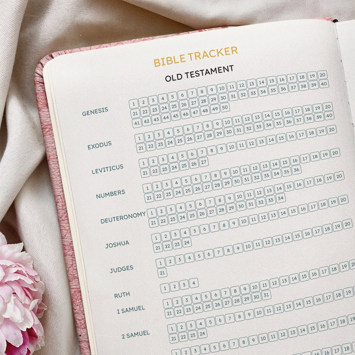 Assured Proverbs 3:5 Bible Study Journal