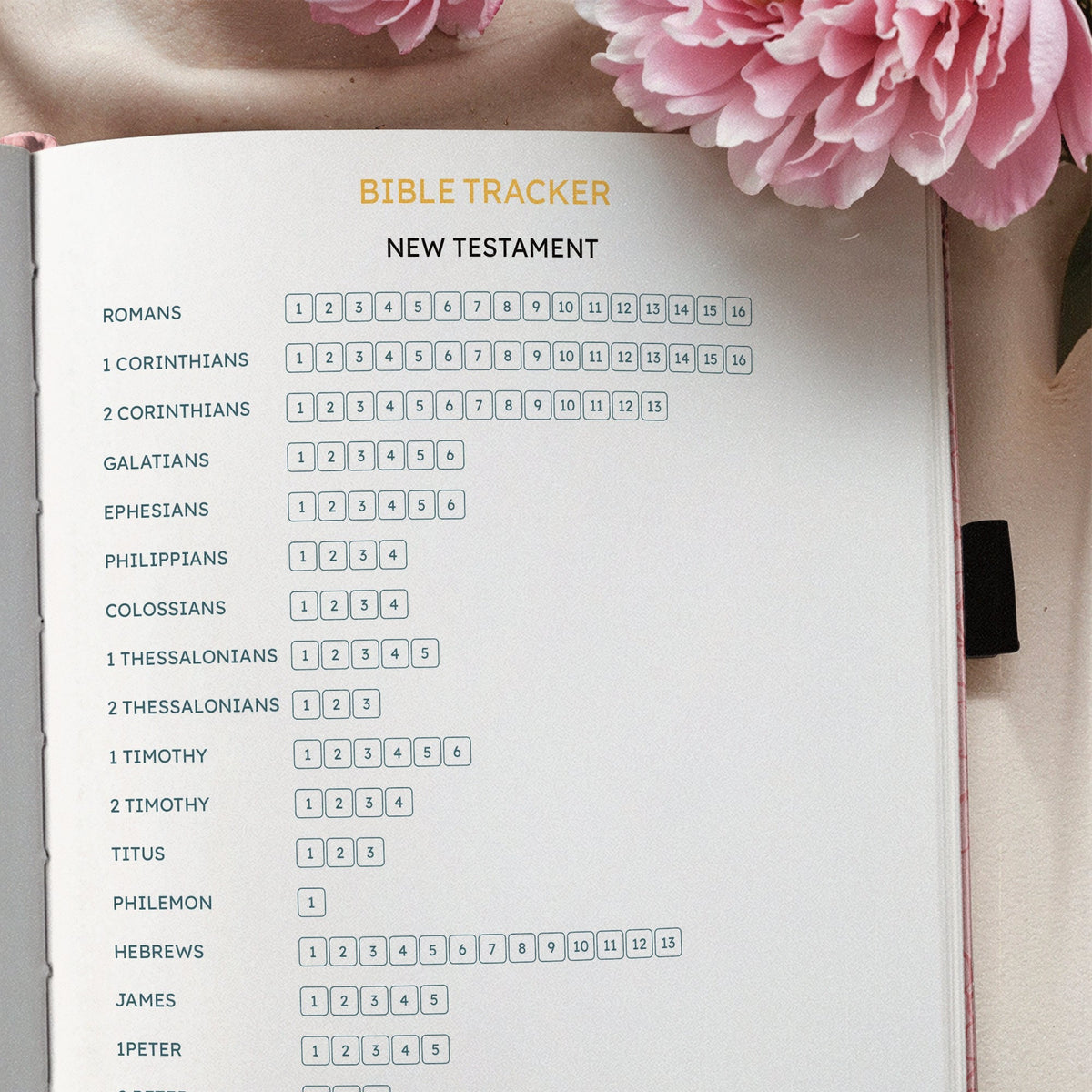 Assured Proverbs 3:5 Bible Study Journal