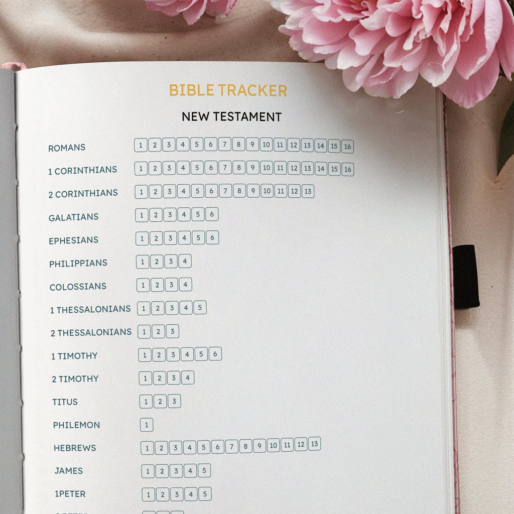 Assured Proverbs 3:5 Bible Study Journal