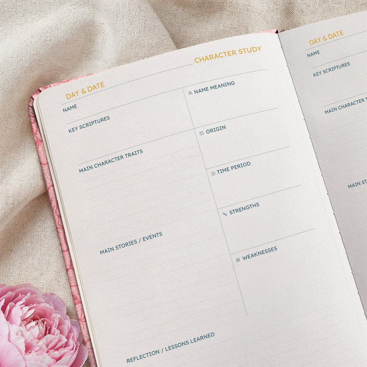 Assured Proverbs 3:5 Bible Study Journal