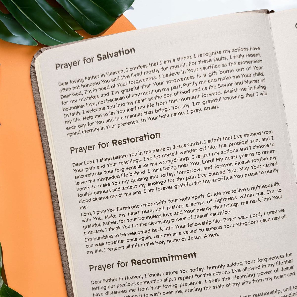 Faithful 1 Timothy 6:11 Leather Prayer Journal