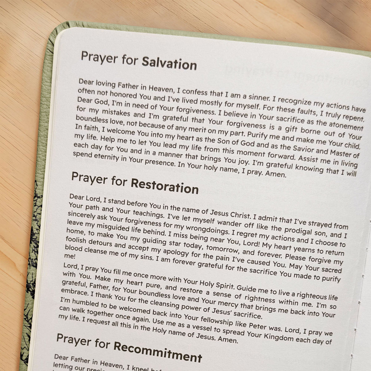 Soar 1 Timothy 6:11 Leather Prayer Journal